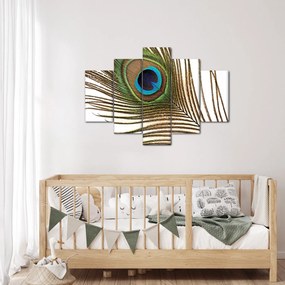 Obraz pávieho peria (150x105 cm)