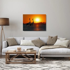 Sklenený obraz vtákov pri západe slnka (70x50 cm)