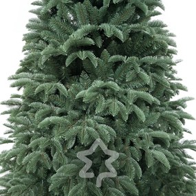 Smrek Oregon extra hustý 240 cm