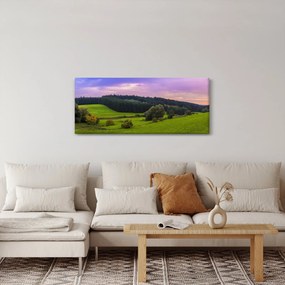 Obraz lúky (120x50 cm)