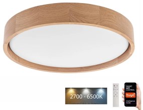 Brilagi - LED stropné svietidlo MANAROLA SMART LED/24W/230V + DO Tuya
