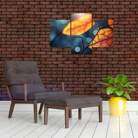 Obraz - Textúra listov (90x60 cm)