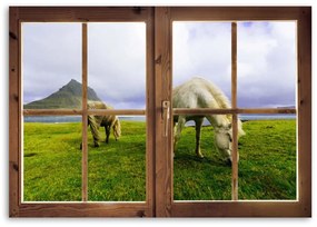 Obraz na plátně Koňská louka Pohled z okna - 100x70 cm