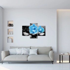 Obraz - Modrá orchidea (90x60 cm)