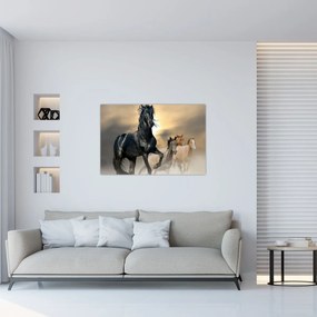 Obraz - Kone (90x60 cm)