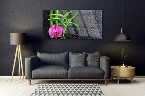 Obraz plexi Bambus kvet kvapky 120x60 cm