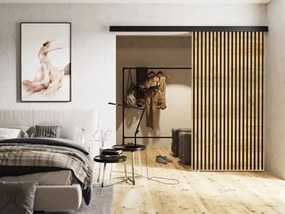 Interiérové posuvné dvere Boxdis 100, Farba:: Biela/Čierna