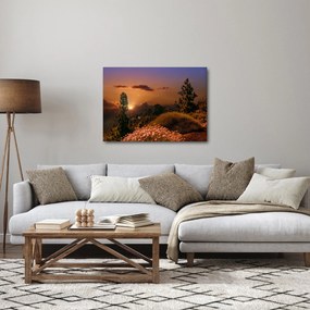 Obraz prírody pri západe slnka (70x50 cm)