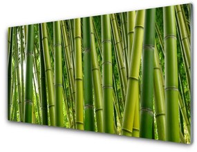 Sklenený obklad Do kuchyne Bambusový les bambusové výhonky 120x60 cm