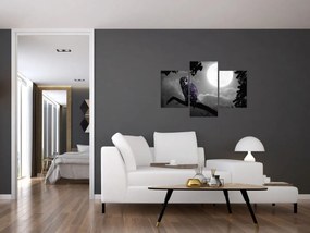 Obraz - Nočná sova, fialová sova (90x60 cm)