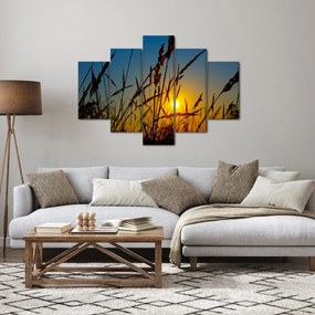 Obraz - Západ slnka v lúke (150x105 cm)