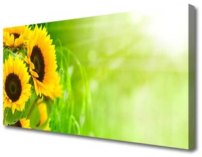 Obraz na plátne Slnečnicami rastlina 125x50 cm