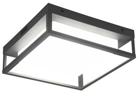 LED nástenné vonkajšie svietidlo (výška 10 cm) Witham - Trio