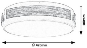 Rabalux 5646 - LED Stmievateľné stropné svietidlo SALMA LED/24W/230V