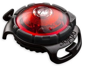 LED svetlo na obojok Red – Orbiloc