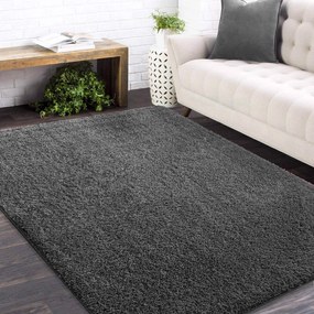 Moderné koberec SHAGGY Camila - grafitový