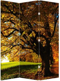 Paraván - Jesenný strom (126x170 cm)