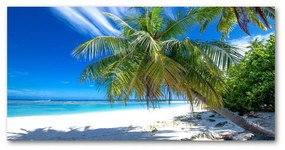 Foto obraz akrylový do obývačky Tropická pláž oah-82585815