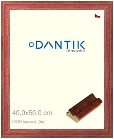 DANTIK rám na obraz 40x50 | LYON červená (Plexi Čiré)
