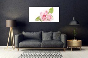 Skleneny obraz Ruže kvety príroda 140x70 cm