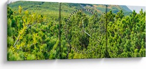 Obraz - Babi Hora, Poľsko (s hodinami) (90x30 cm)