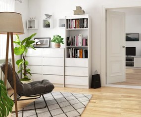 Regál R60 3SZ 2P CLP biely