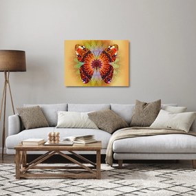 Sklenený obraz - Etno motýľ (70x50 cm)