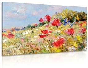 Obraz divé maky na lúke