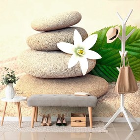 Fototapeta biely kvet a kamene v piesku - 150x100