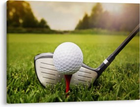 Obraz - Golf (70x50 cm)