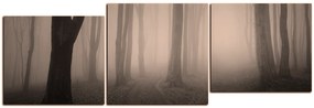 Obraz na plátne - Hmla v lese - panoráma 5182FE (120x40 cm)