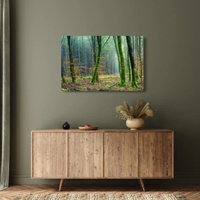 Obraz lesa (90x60 cm)