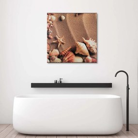 Obraz na plátně Mušle Mořský písek - 50x50 cm