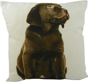 Béžový vankúš štvorcový s hnedým labradorom - 33 * 10 * 33cm