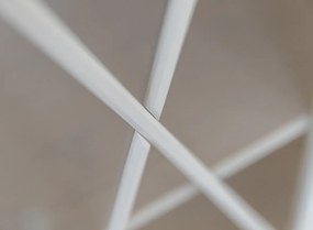 PROXIMA.store - Rustikálna drevená vitrína 1s.2 úzka - MARONE ELITE FARBA: biela - prírodná borovica