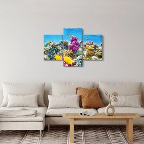 Obraz - Morský svet (90x60 cm)