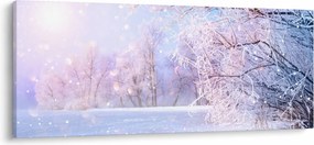 Obraz - Mrazivá zima (120x50 cm)