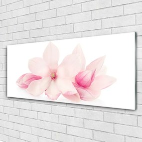 Obraz plexi Kvety plátky rastlina príroda 125x50 cm