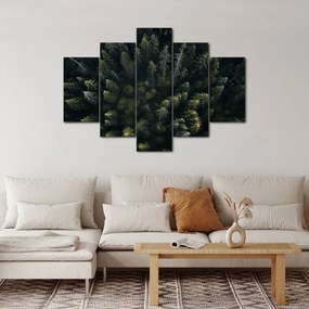 Obraz - Les (150x105 cm)