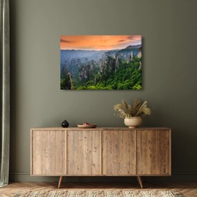 Obraz - Národný lesný park Zhangjiajie (90x60 cm)