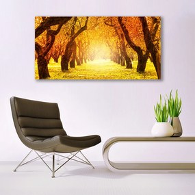 Obraz plexi Les chodník stromy príroda 120x60 cm