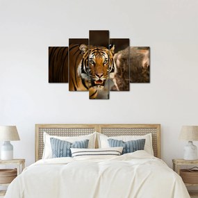 Obraz tigra (150x105 cm)