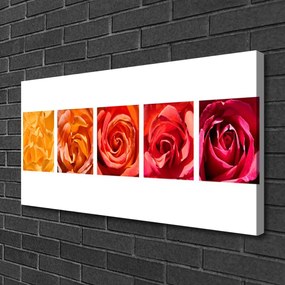 Obraz Canvas Ruže kvety rastlina 120x60 cm