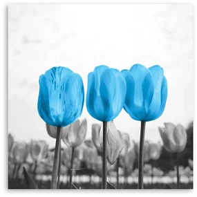 Gario Obraz na plátne Modré tulipány Rozmery: 50 x 50 cm