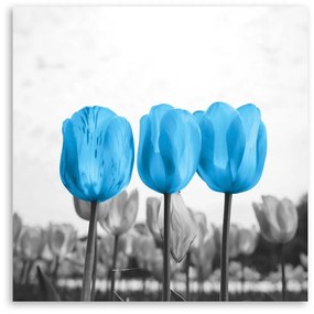 Gario Obraz na plátne Modré tulipány Rozmery: 60 x 60 cm