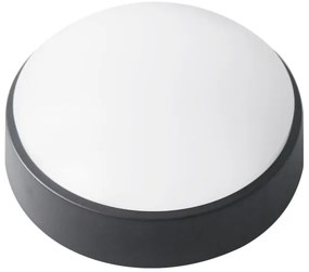 LED Vonkajšie stropné svietidlo LED/14W/230V IP54 čierna