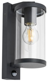 Rabalux - Vonkajšie nástenné svietidlo so senzorom 1xE27/60W/230V IP44