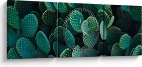 Obraz - Opuncie (s hodinami) (90x30 cm)