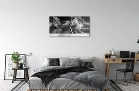 Sklenený obraz Dámska Balerínky dym 120x60 cm