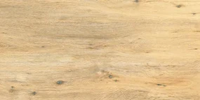 Dlažba Rako Pino Outdoor bloom 60x120 cm mat DAKV6896.1